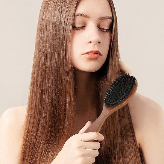 Brosse-à-cheveux-poil-de-sanglier-coiffant-longue-chevelure-brune-lisse-en-interieur