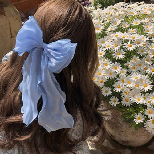 barrette à cheveux femme ruban bleu cheveux bruns fleurs blanches exterieur