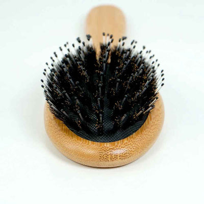 brosse-poil-de-sanglier-en-grand-format