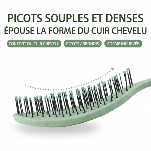 Visuel de la brosse avec texte en français