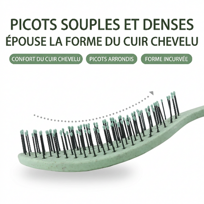 Visuel de la brosse avec texte en français
